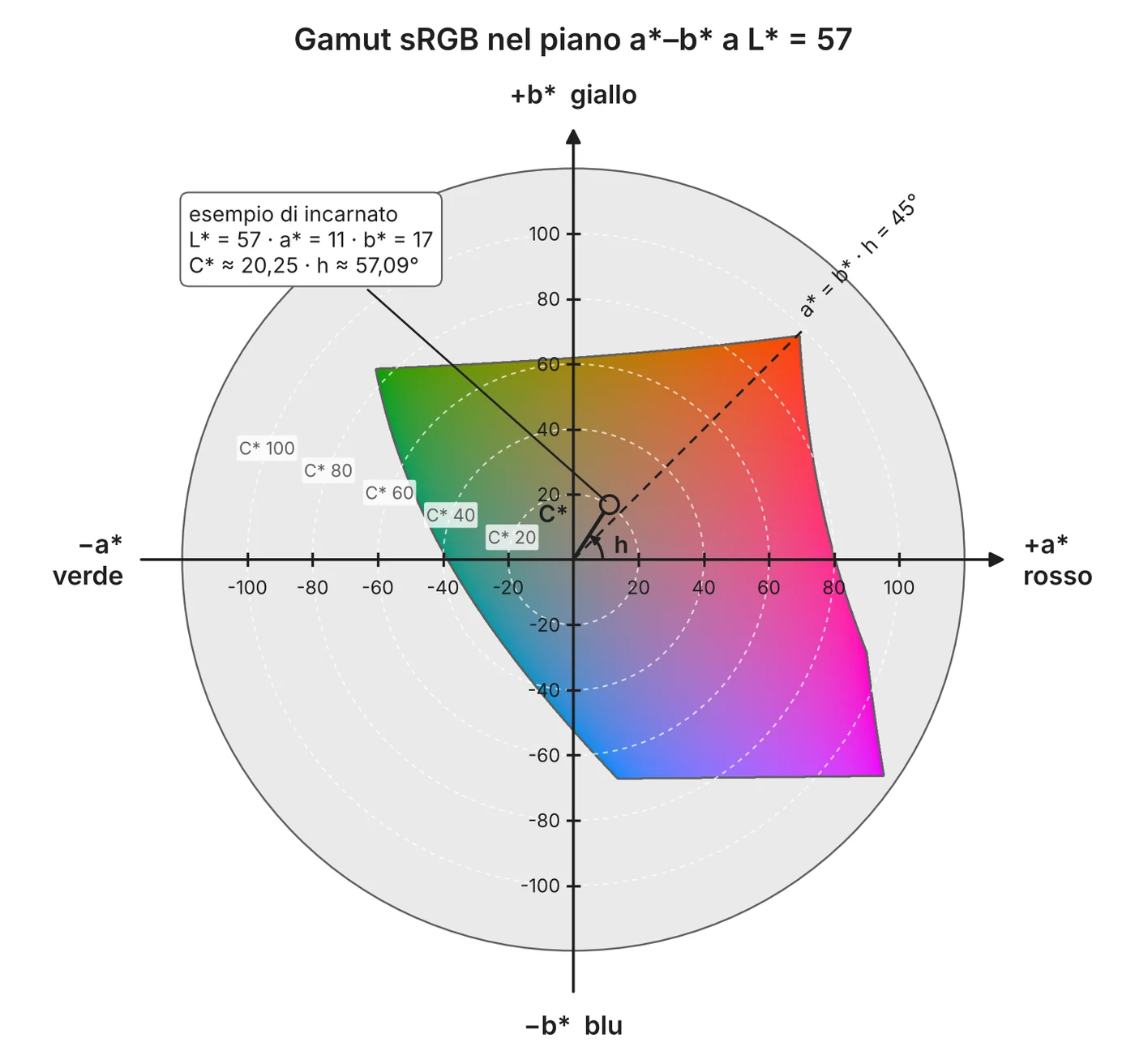 Piano a*–b* dello spazio Lab con un esempio di incarnato